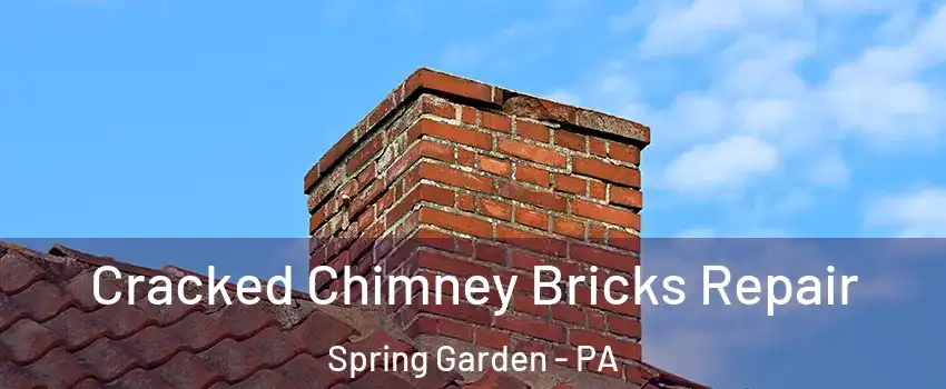 Cracked Chimney Bricks Repair Spring Garden - PA