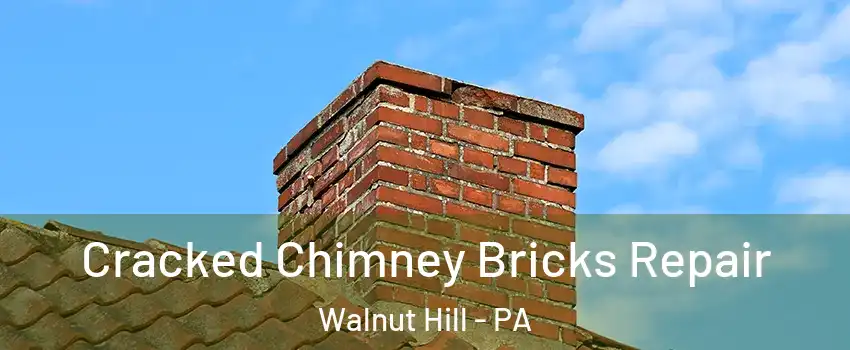 Cracked Chimney Bricks Repair Walnut Hill - PA