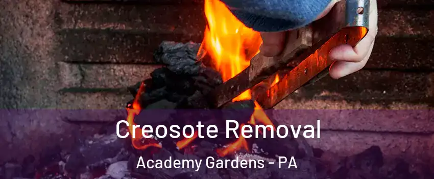 Creosote Removal Academy Gardens - PA