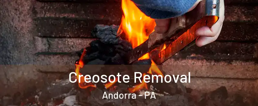 Creosote Removal Andorra - PA