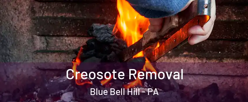 Creosote Removal Blue Bell Hill - PA