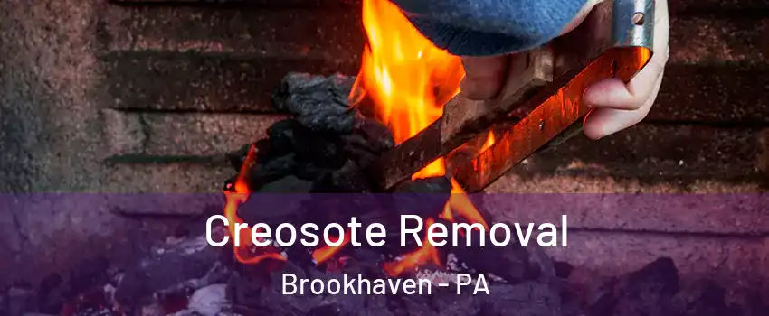 Creosote Removal Brookhaven - PA
