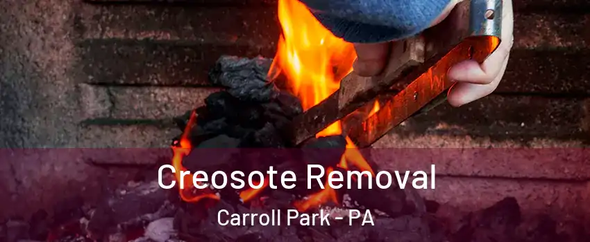 Creosote Removal Carroll Park - PA