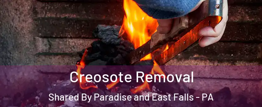 Creosote Removal Shared By Paradise and East Falls - PA