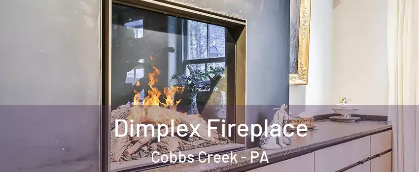 Dimplex Fireplace Cobbs Creek - PA