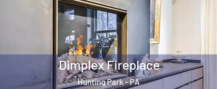 Dimplex Fireplace Hunting Park - PA