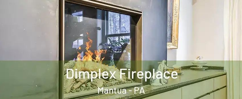 Dimplex Fireplace Mantua - PA