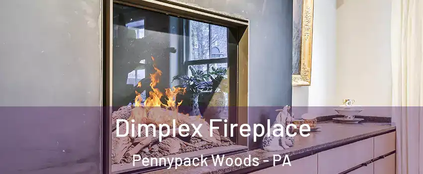Dimplex Fireplace Pennypack Woods - PA