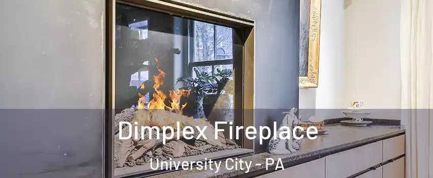 Dimplex Fireplace University City - PA