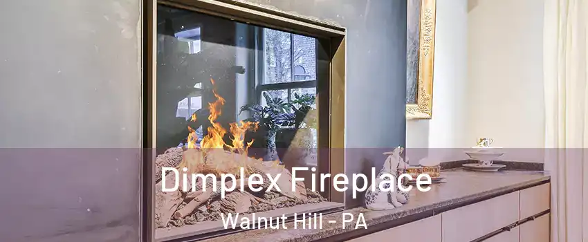 Dimplex Fireplace Walnut Hill - PA