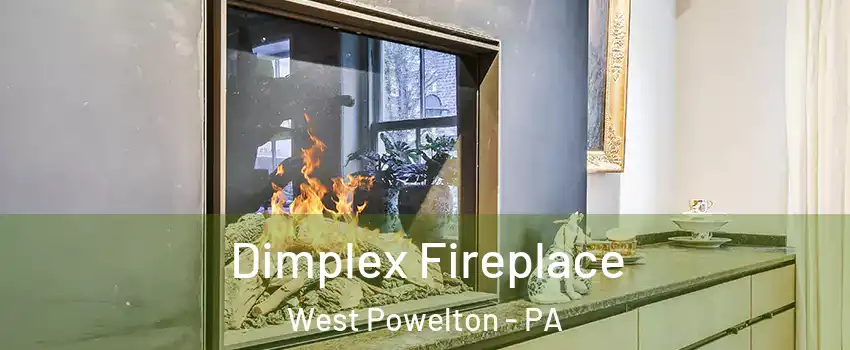 Dimplex Fireplace West Powelton - PA