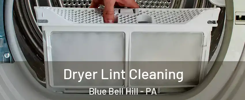 Dryer Lint Cleaning Blue Bell Hill - PA
