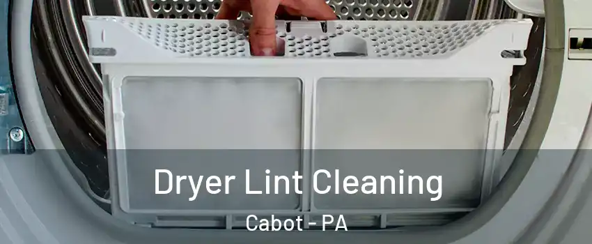 Dryer Lint Cleaning Cabot - PA