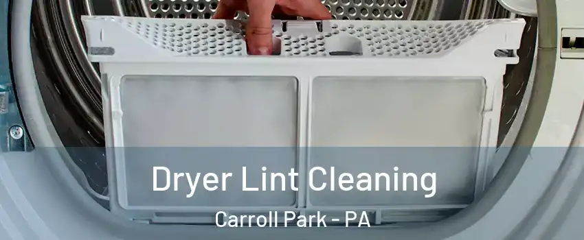 Dryer Lint Cleaning Carroll Park - PA