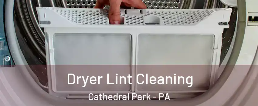 Dryer Lint Cleaning Cathedral Park - PA