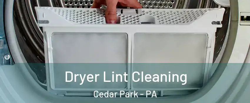 Dryer Lint Cleaning Cedar Park - PA