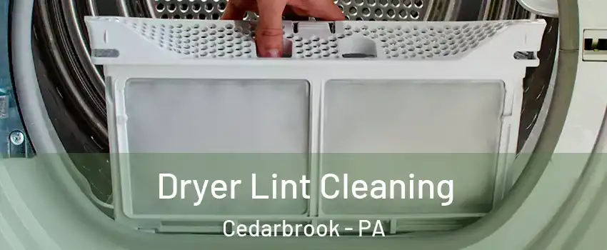 Dryer Lint Cleaning Cedarbrook - PA