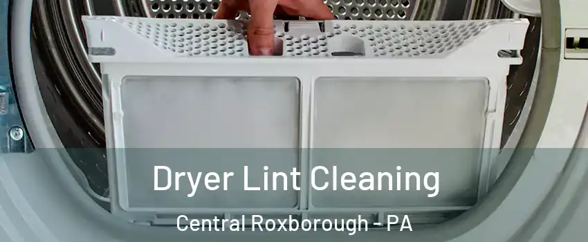 Dryer Lint Cleaning Central Roxborough - PA