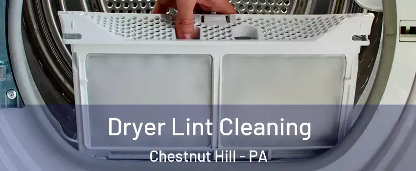 Dryer Lint Cleaning Chestnut Hill - PA
