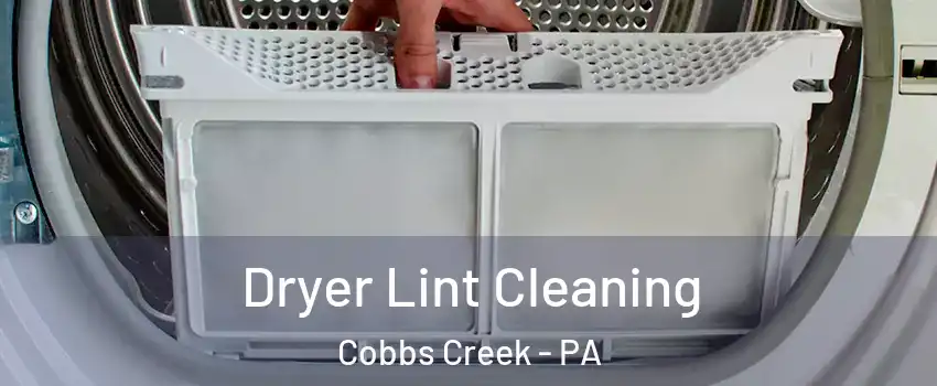 Dryer Lint Cleaning Cobbs Creek - PA
