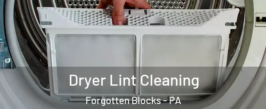 Dryer Lint Cleaning Forgotten Blocks - PA