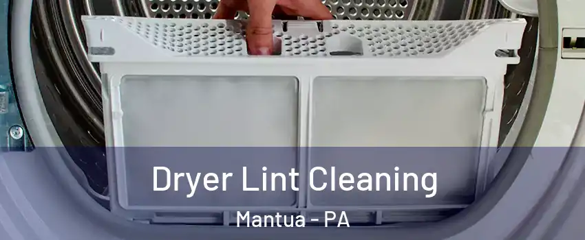 Dryer Lint Cleaning Mantua - PA