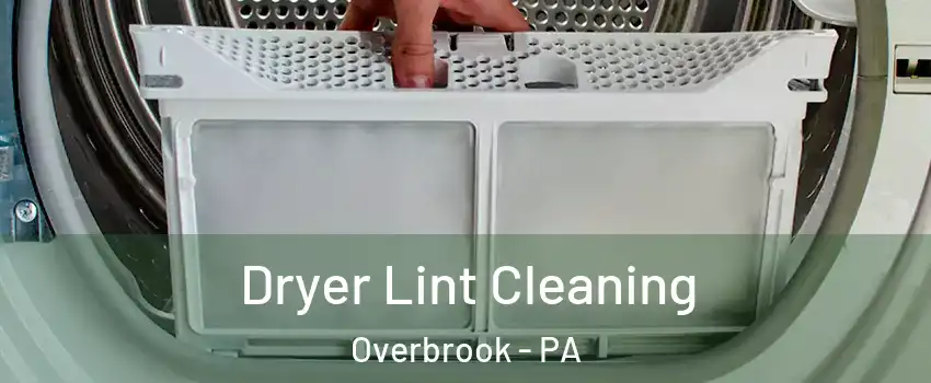 Dryer Lint Cleaning Overbrook - PA