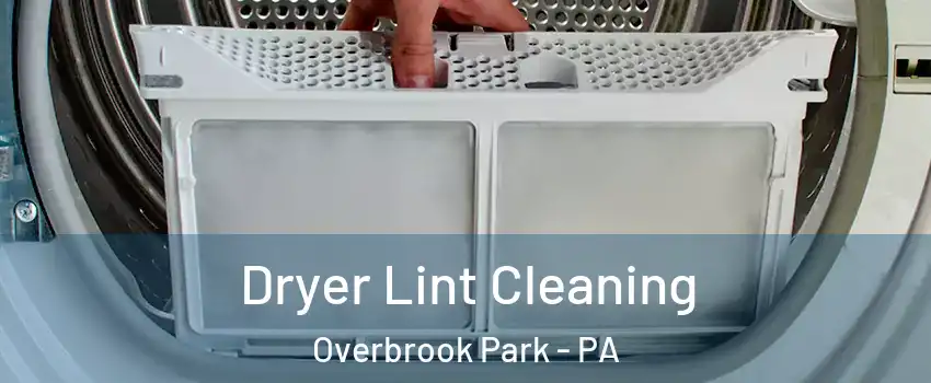 Dryer Lint Cleaning Overbrook Park - PA