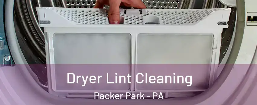 Dryer Lint Cleaning Packer Park - PA