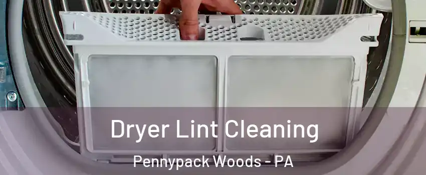 Dryer Lint Cleaning Pennypack Woods - PA