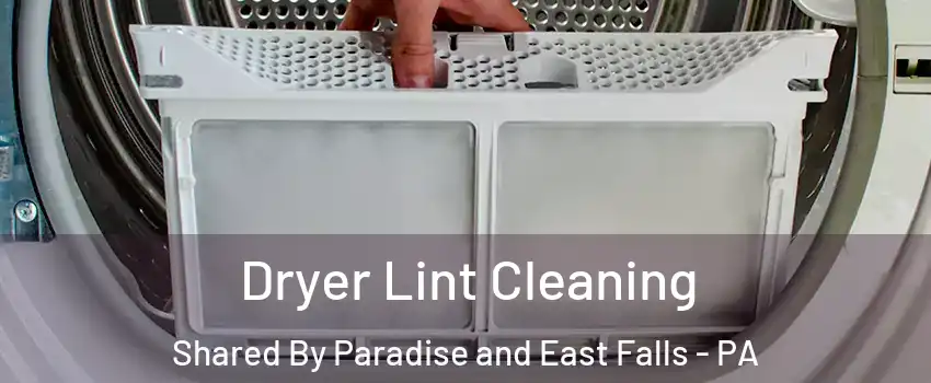 Dryer Lint Cleaning Shared By Paradise and East Falls - PA