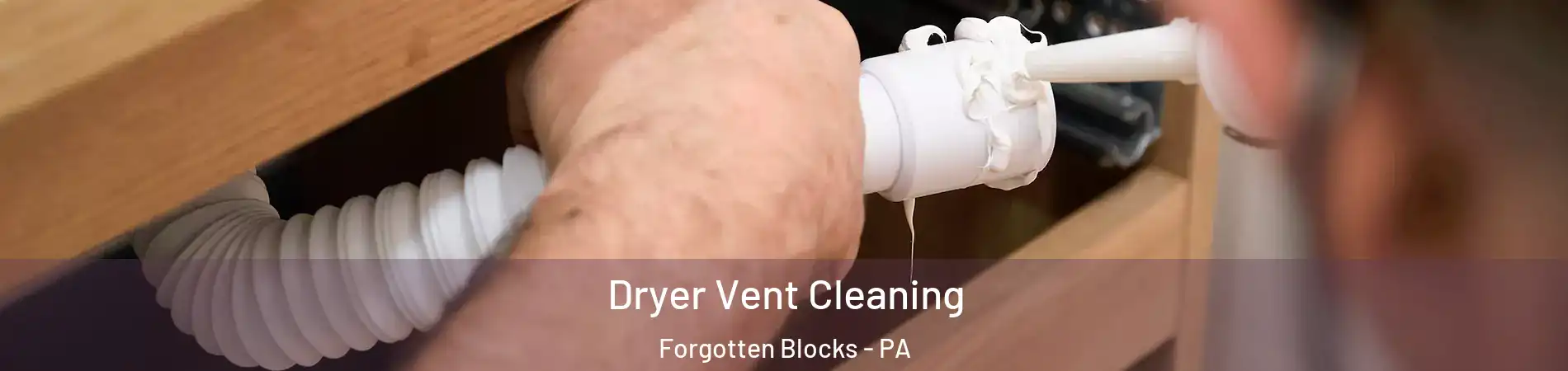 Dryer Vent Cleaning Forgotten Blocks - PA