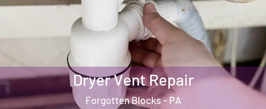 Dryer Vent Repair Forgotten Blocks - PA