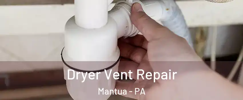 Dryer Vent Repair Mantua - PA
