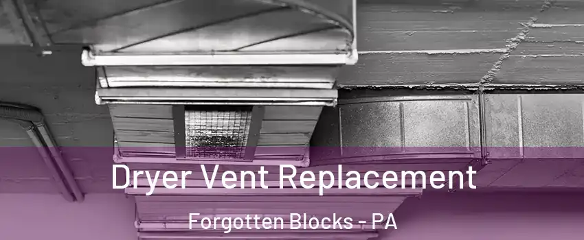 Dryer Vent Replacement Forgotten Blocks - PA