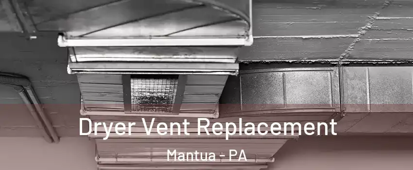 Dryer Vent Replacement Mantua - PA