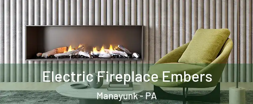 Electric Fireplace Embers Manayunk - PA