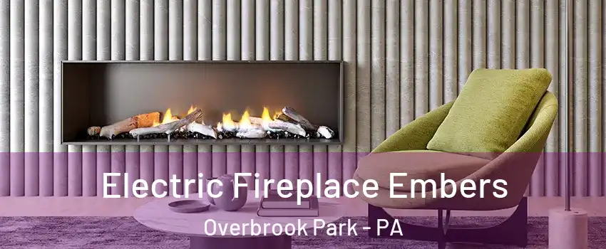 Electric Fireplace Embers Overbrook Park - PA