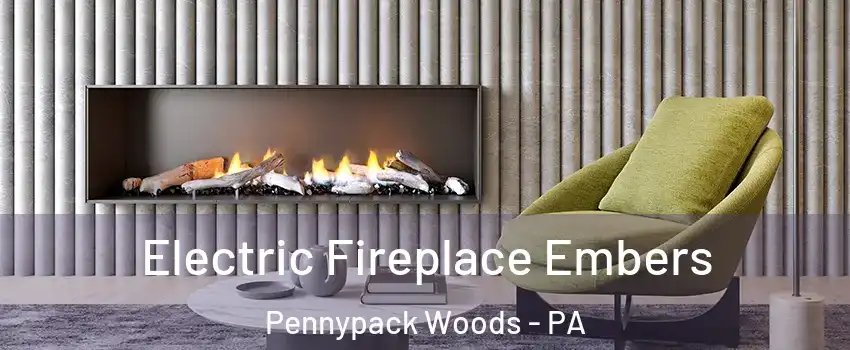 Electric Fireplace Embers Pennypack Woods - PA