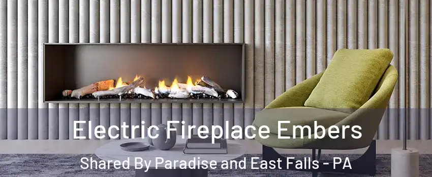 Electric Fireplace Embers Shared By Paradise and East Falls - PA