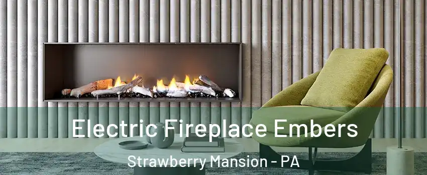 Electric Fireplace Embers Strawberry Mansion - PA