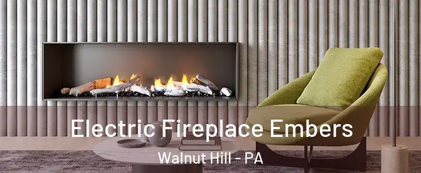 Electric Fireplace Embers Walnut Hill - PA