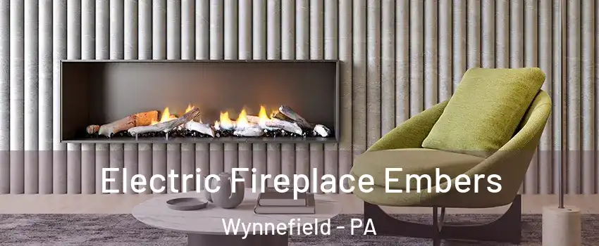 Electric Fireplace Embers Wynnefield - PA