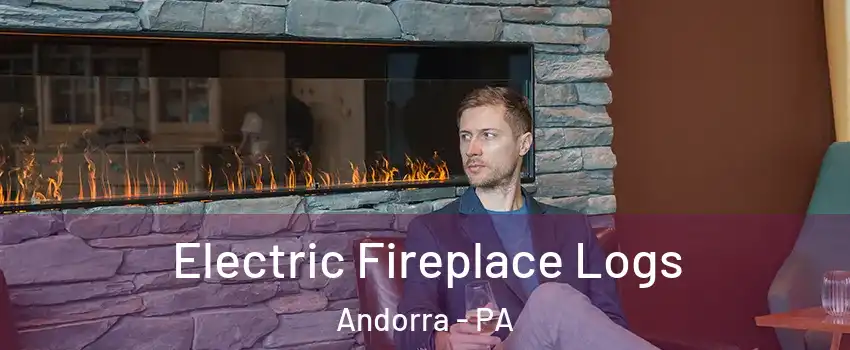 Electric Fireplace Logs Andorra - PA