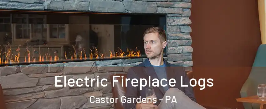 Electric Fireplace Logs Castor Gardens - PA