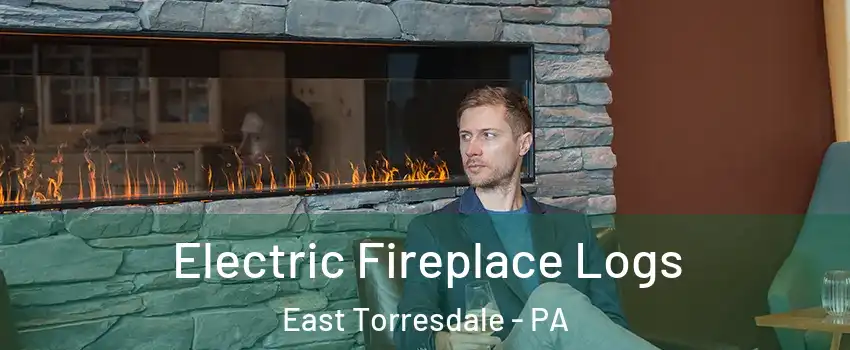 Electric Fireplace Logs East Torresdale - PA