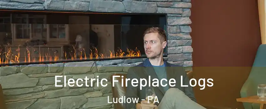 Electric Fireplace Logs Ludlow - PA