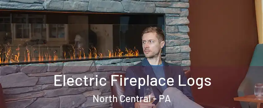 Electric Fireplace Logs North Central - PA