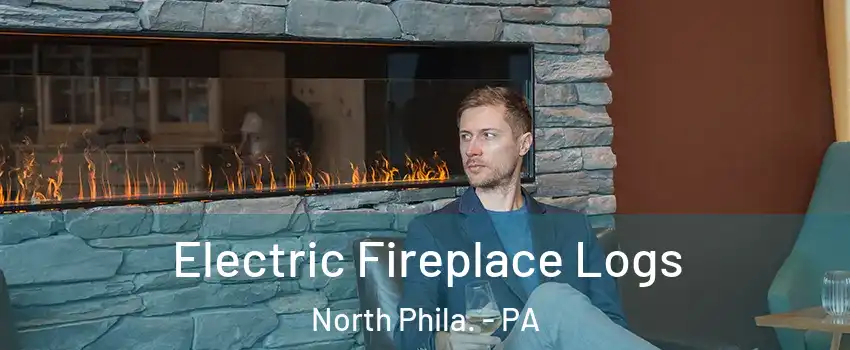 Electric Fireplace Logs North Phila. - PA