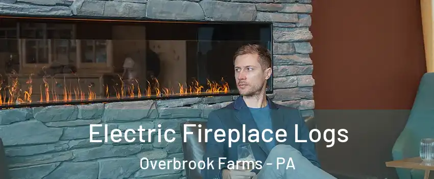Electric Fireplace Logs Overbrook Farms - PA